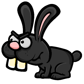 토끼 6002 black0 전신 가이드
