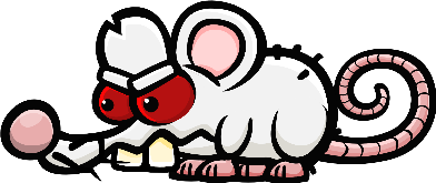 쥐 6035 white-red 전신 가이드